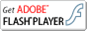 GetADOBE FLASHPLAYER